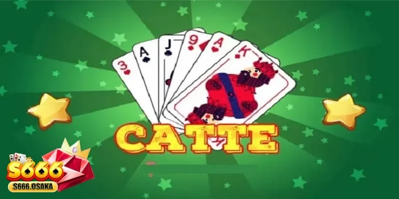 bài Catte