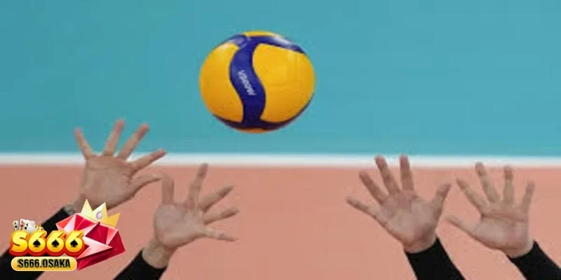  cá cược bóng chuyền